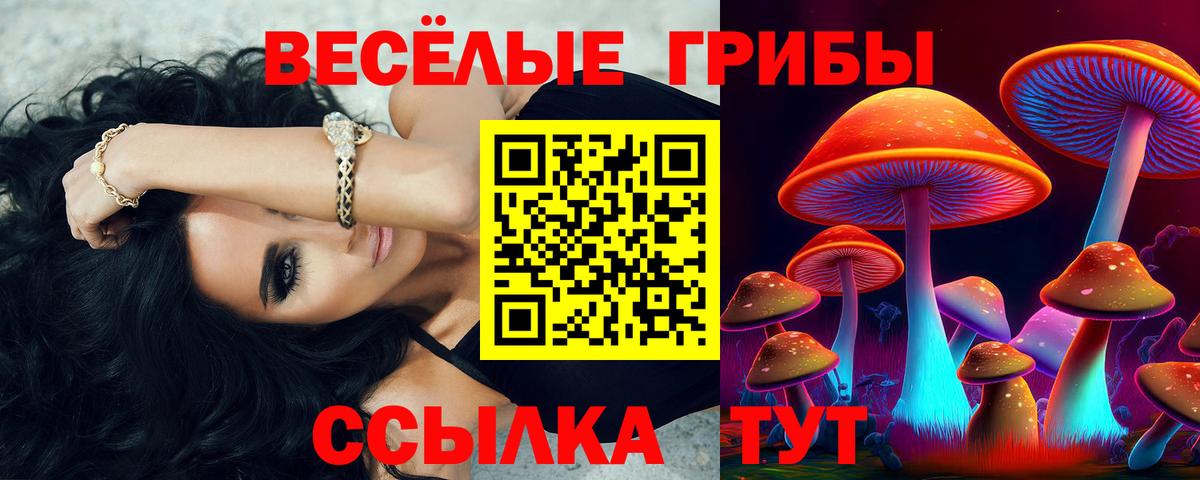 Псилоцибиновые грибы Psilocybine cubensis  Вход с VPN  Назрань  продажа наркотиков  Псилоцибиновые грибы Magic Shrooms 